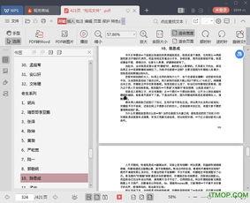 421页pdf娱乐圈吃瓜文件电子版,421页吃瓜文件深度解析