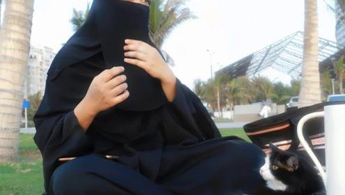 娱乐吃瓜酱与君,揭秘娱乐圈背后的故事与真相